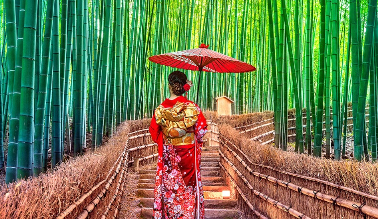 Bambu Ormanı "ARASHİYAMA"